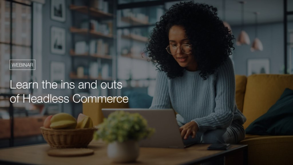 /48d094/globalassets/0-category-tags/ins-and-outs-of-headless-commerce.png?width=1024&height=1024&mode=max&format=jpg