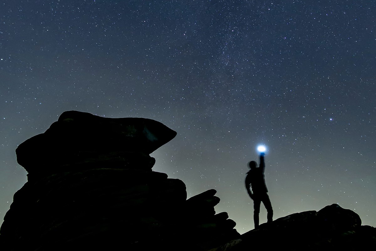 Disruption Blog 1-Secondary-Image1-Google.jpg