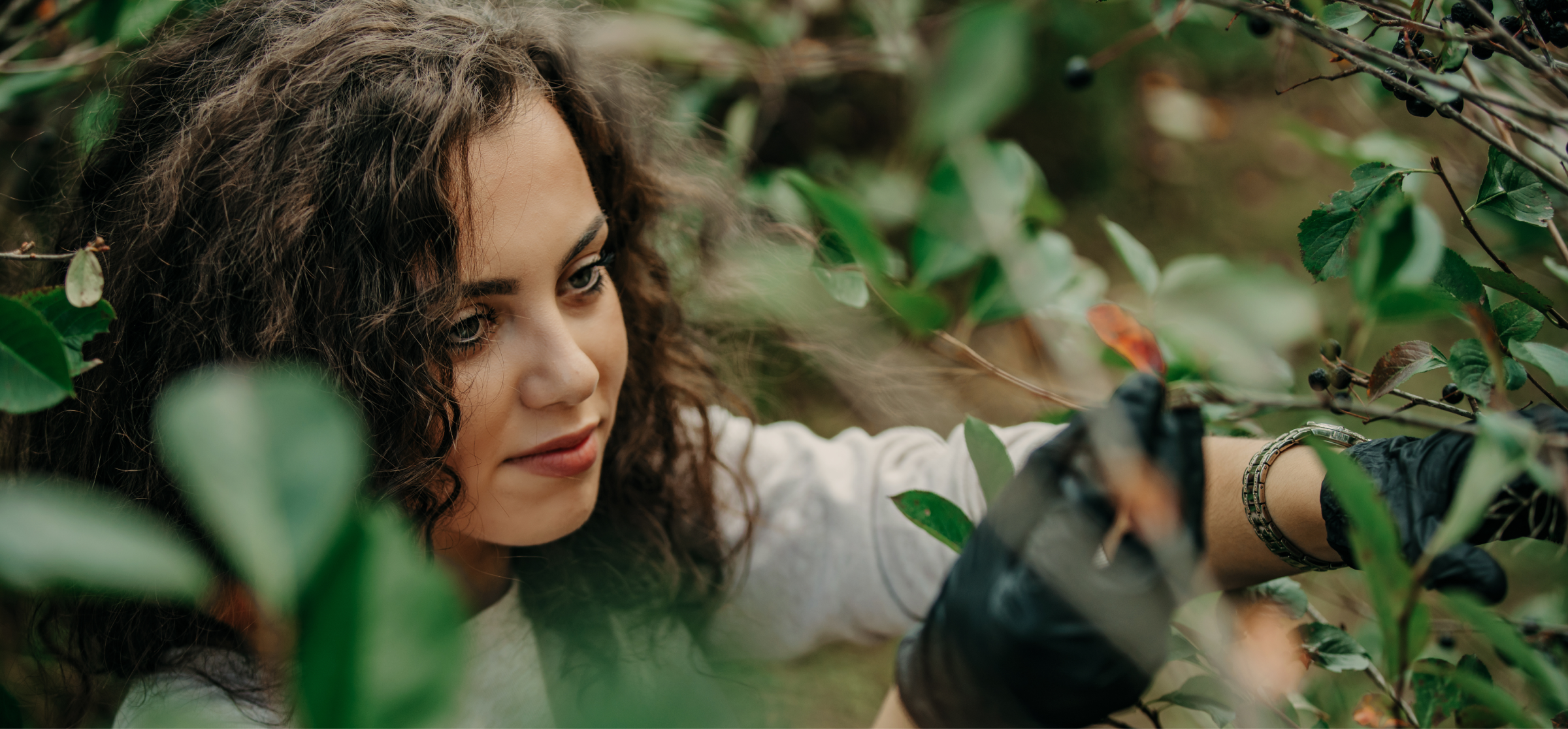 woman with gloves picking berries in a lush garden