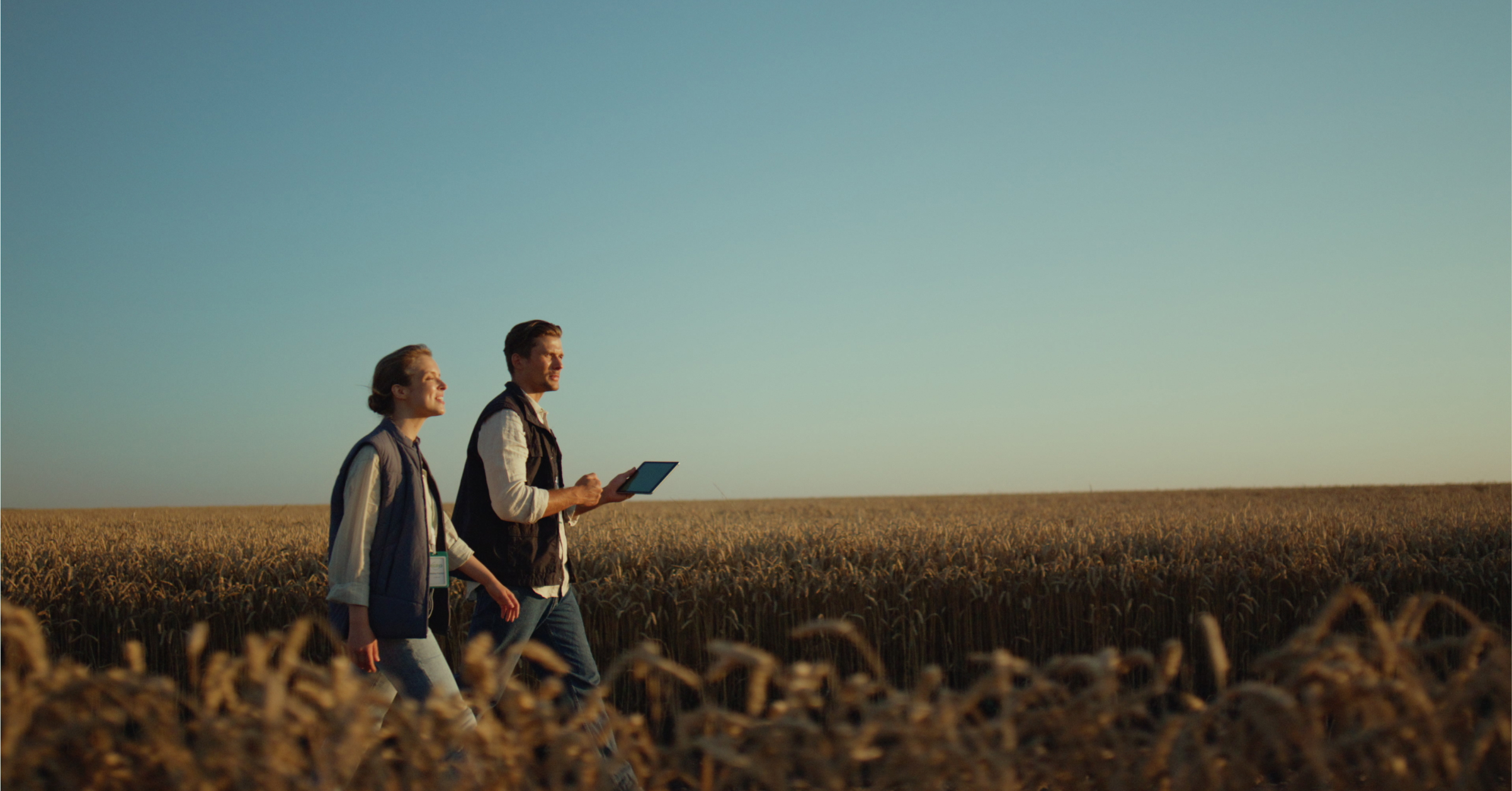 two people walking in wheat field with a tablet