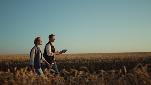 two people walking in wheat field with a tablet