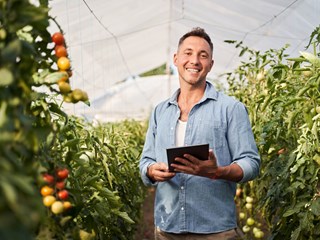 A smiling man standing in a greenhouse surrounded by tomato plants, holding a tablet. He appears to be working on digital farming or agricultural management, with ripe and unripe tomatoes visible on the vines.