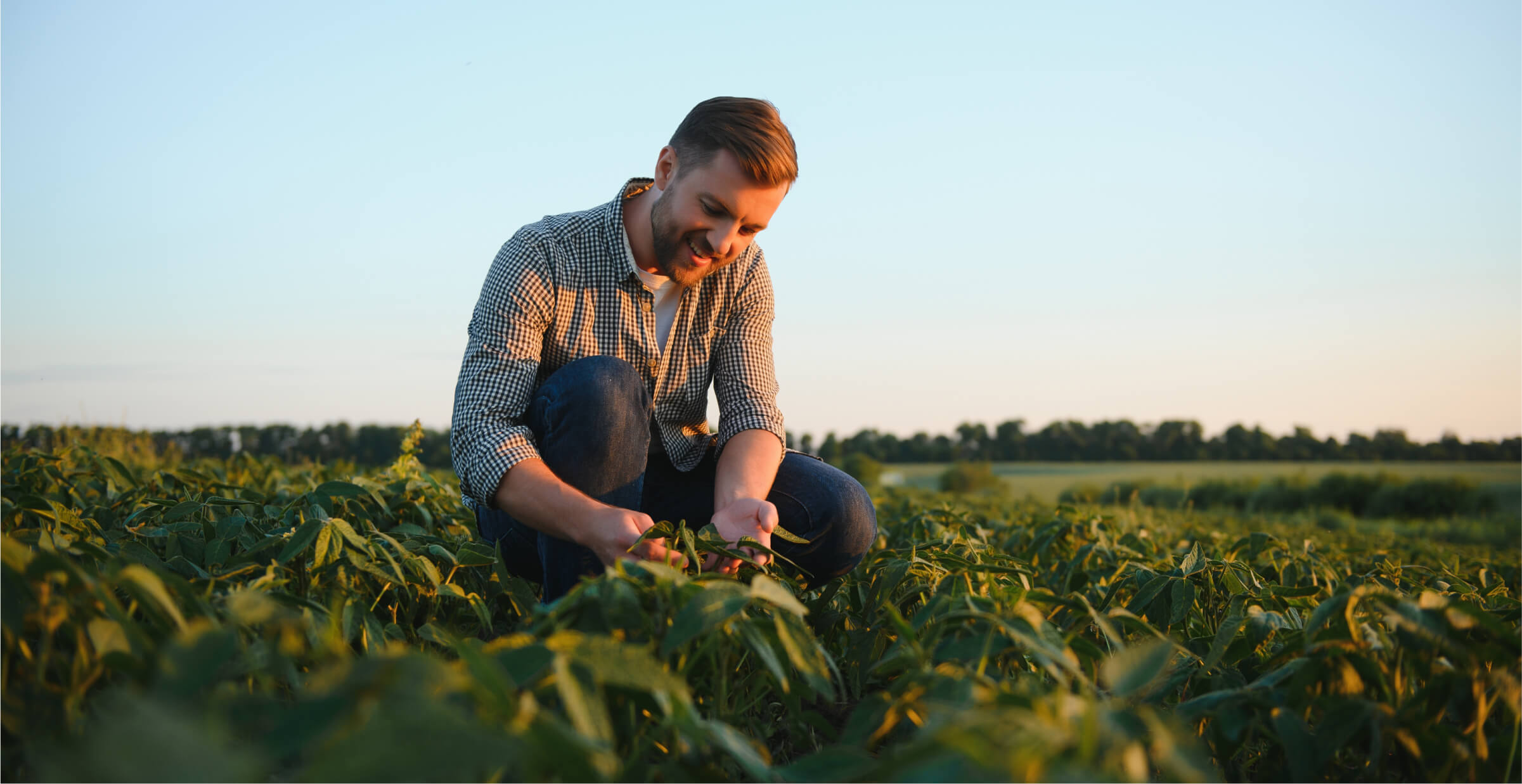 A farmer kneeling in a lush green field, closely examining crops during the golden hour. He is smiling as he inspects the plants, with the sunlight casting a warm glow on the scene.