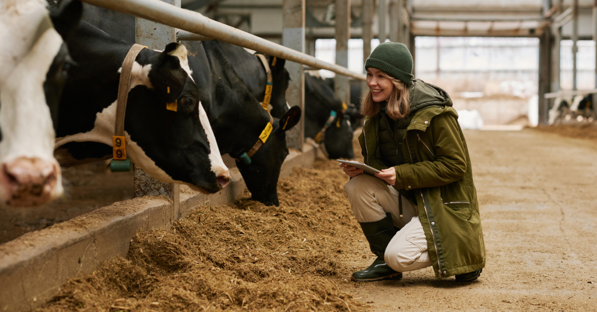 In a barn, a farmer kneels before cows, holding a tablet. She smiles at a cow.