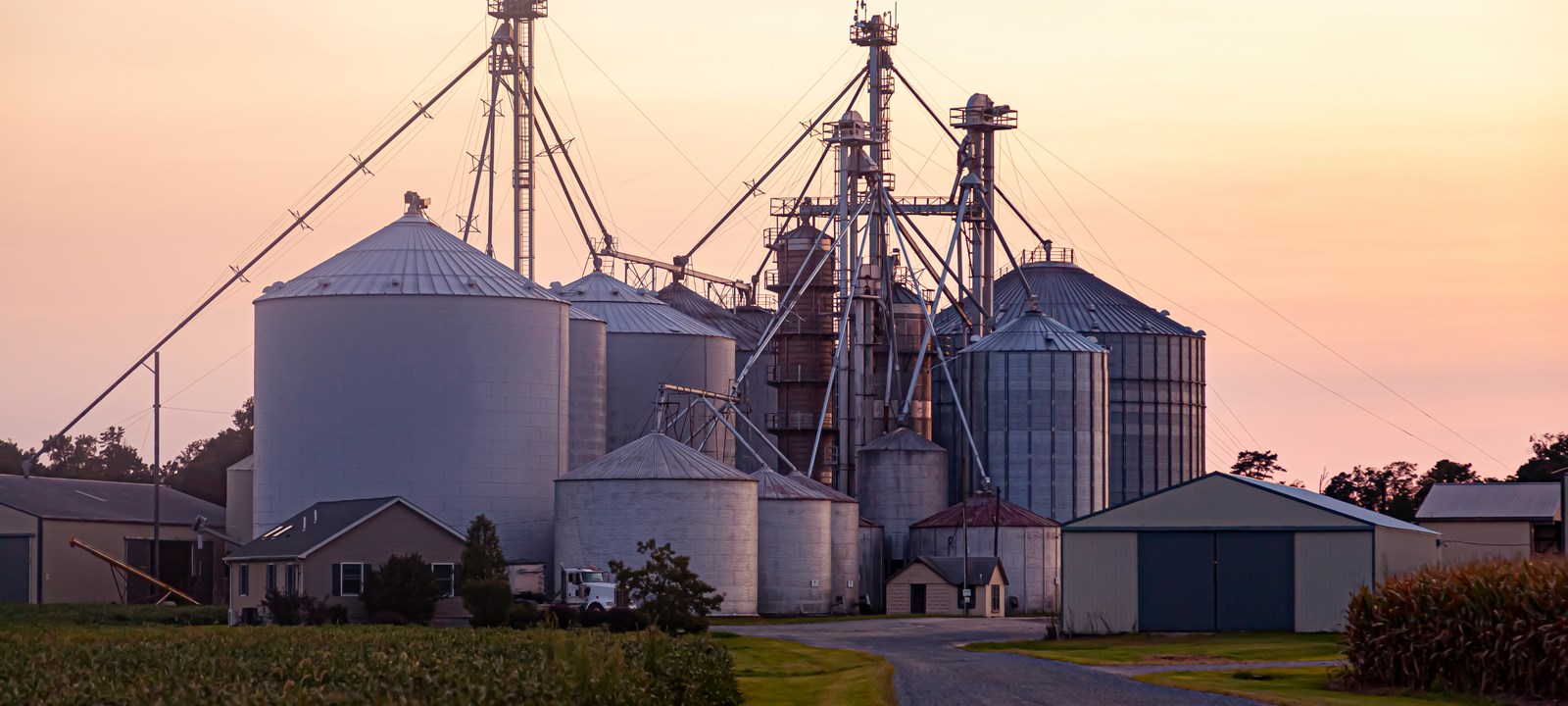 A large industrial farm with several metal grain silos and granary elevators, surrounded by fields and buildings, set against a soft sunset sky.