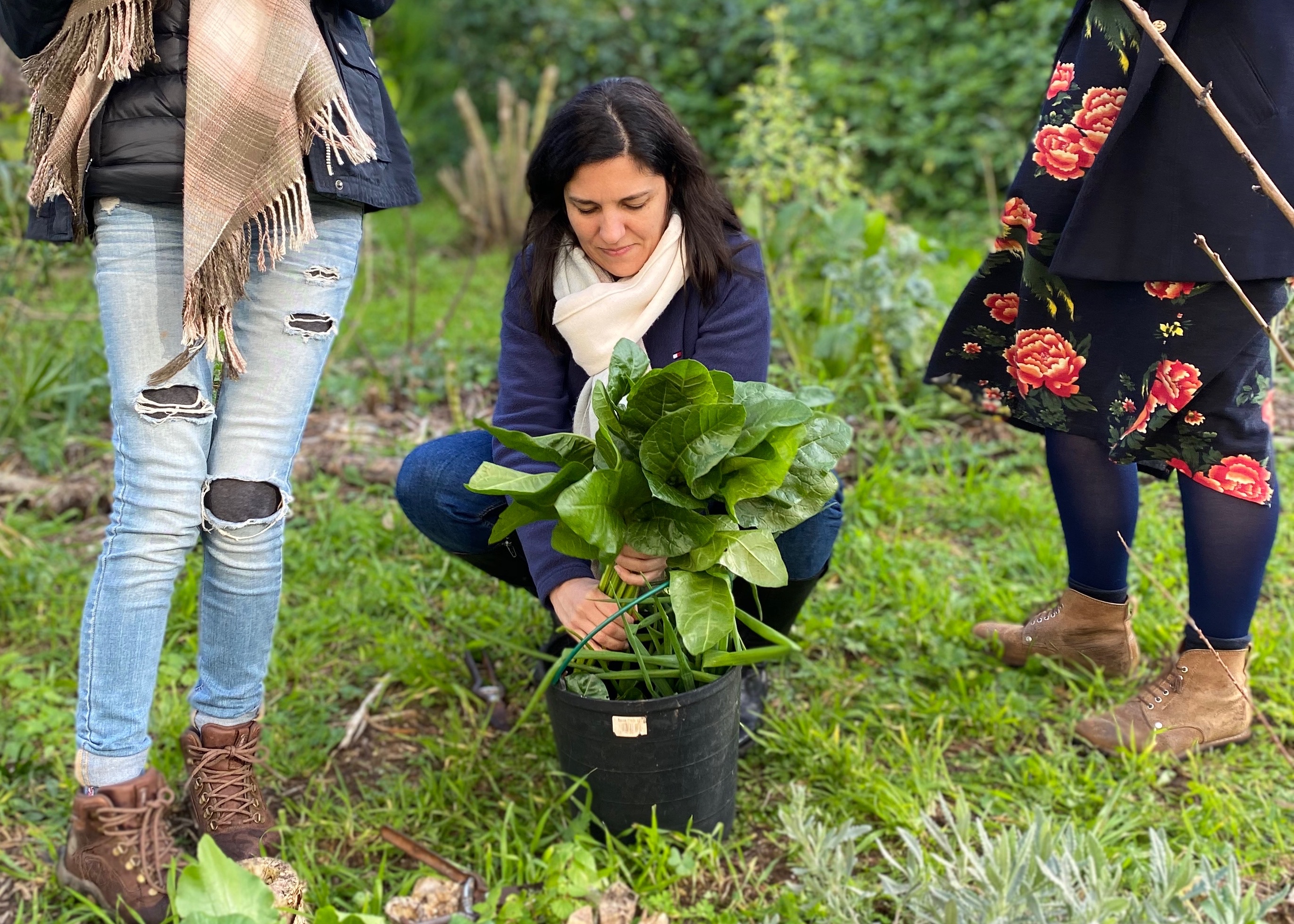 Bela Flor community garden, Lisbon