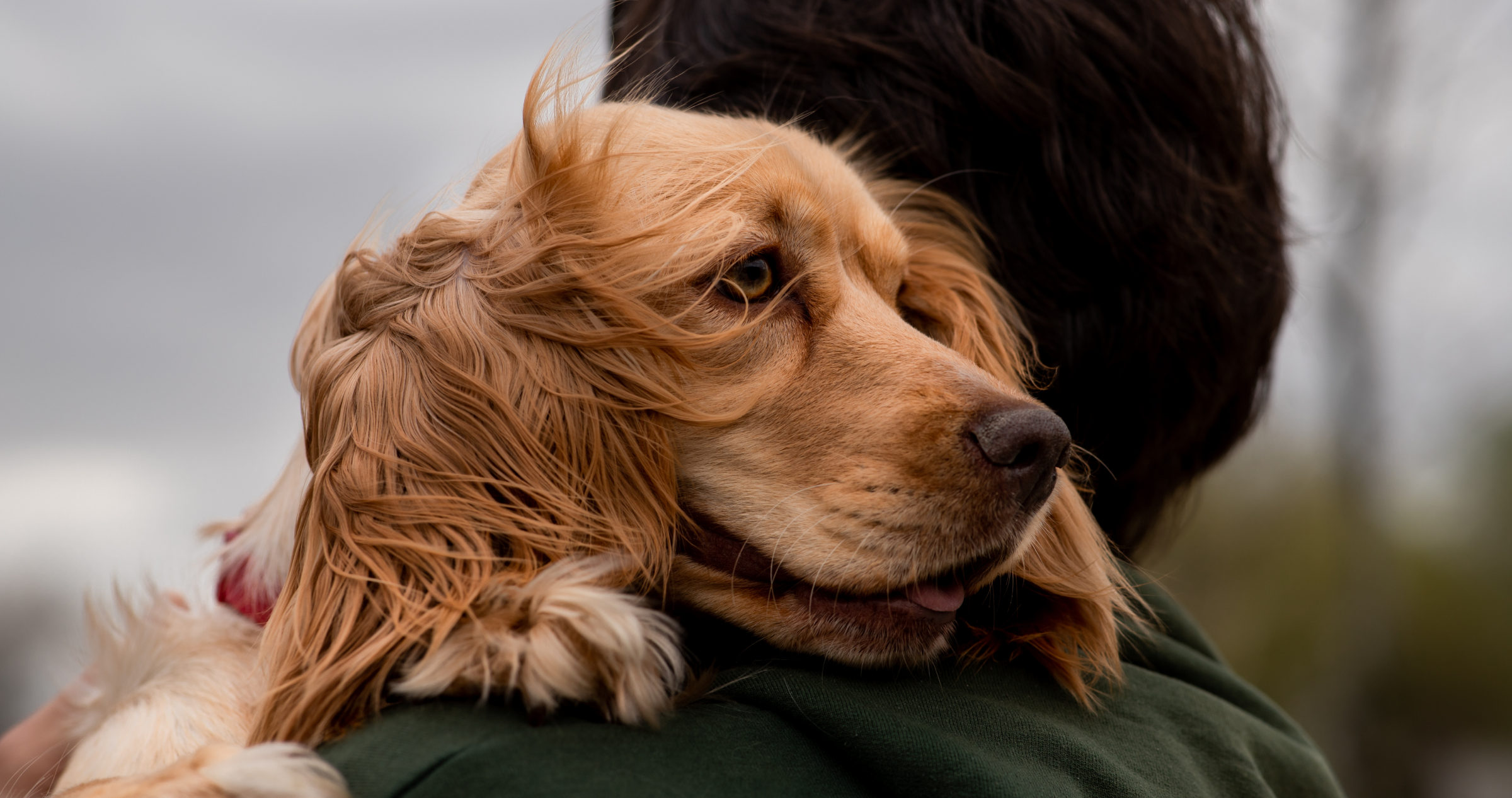 Get to Know the National Trust