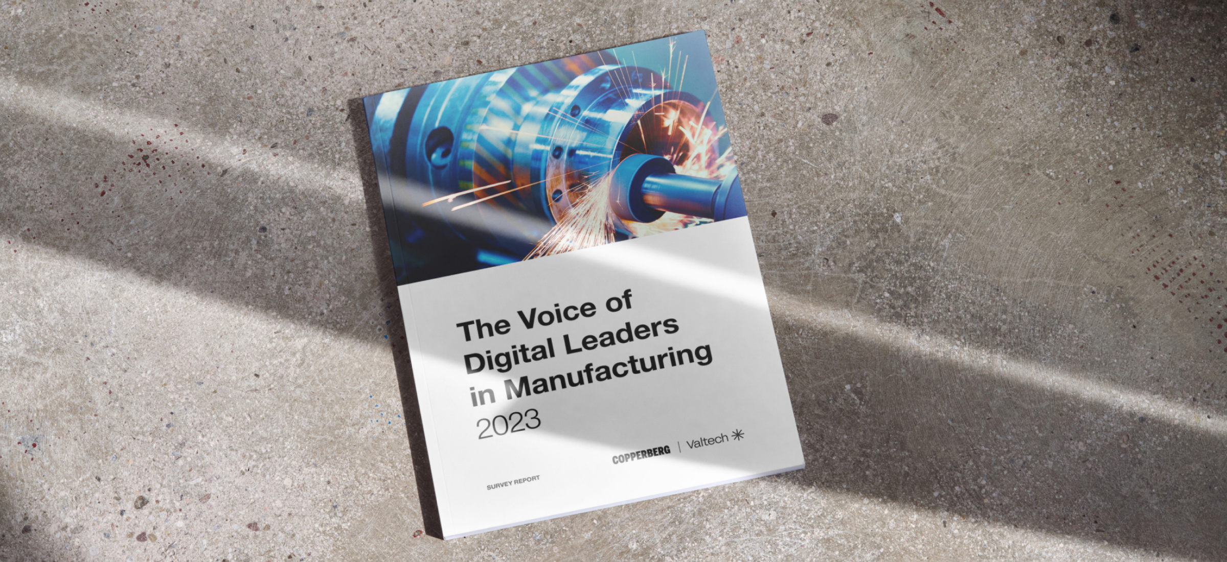 Téléchargez The Voice of Digital Leaders in Manufacturing